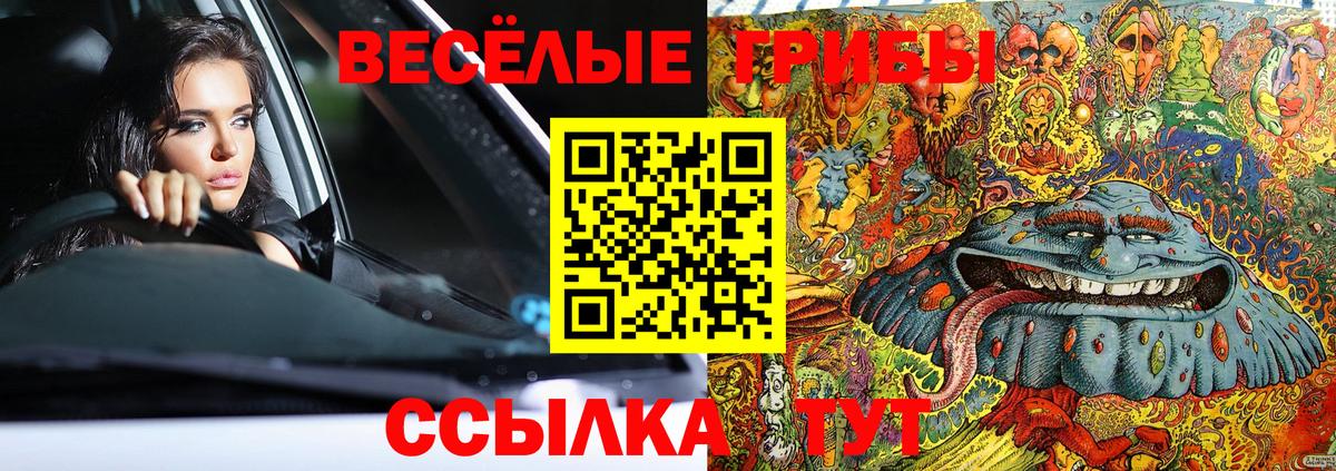 закладки  Вход с VPN  Чапаевск  Псилоцибиновые грибы Magic Shrooms 