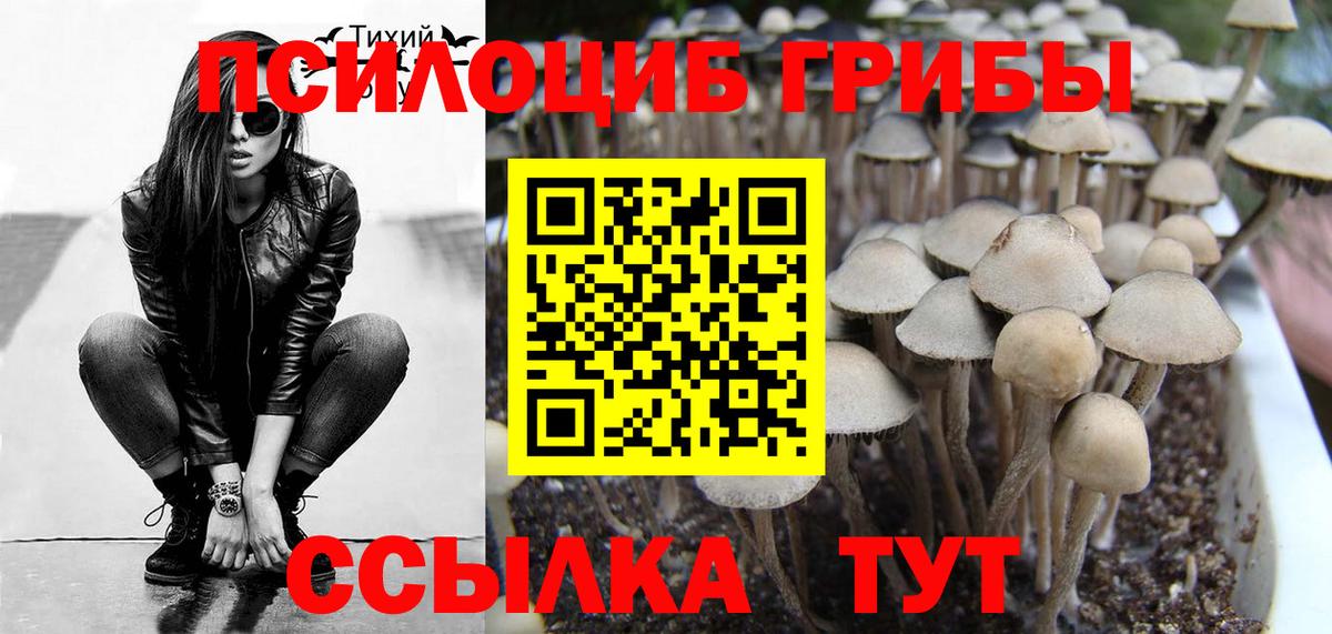ЭКСТАЗИ  МАРИХУАНА  КОКАИН  Чапаевск  Марихуана  Гашиш  Меф МЯУ МЯУ кристаллы  Гашиш  A-PVP СК кристаллы  Героин  Вход с VPN 
